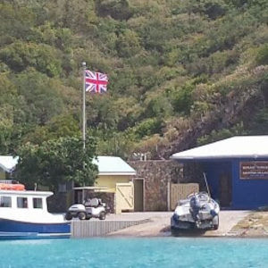 Meet your Posher, Erika